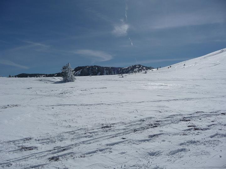 Tarbesou_2010 007.jpg